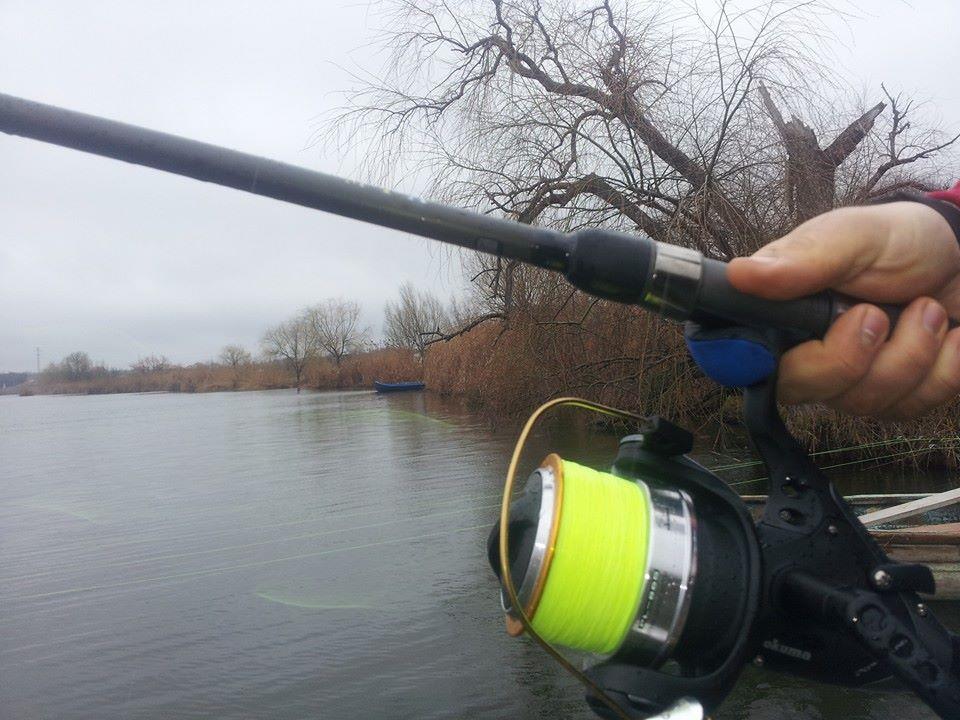 Tancabesti 1 - 2 mar. - z3.jpg